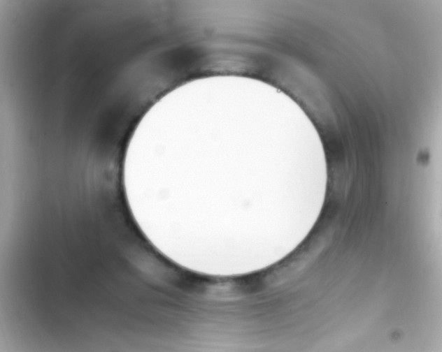 X0000103330309200809192211