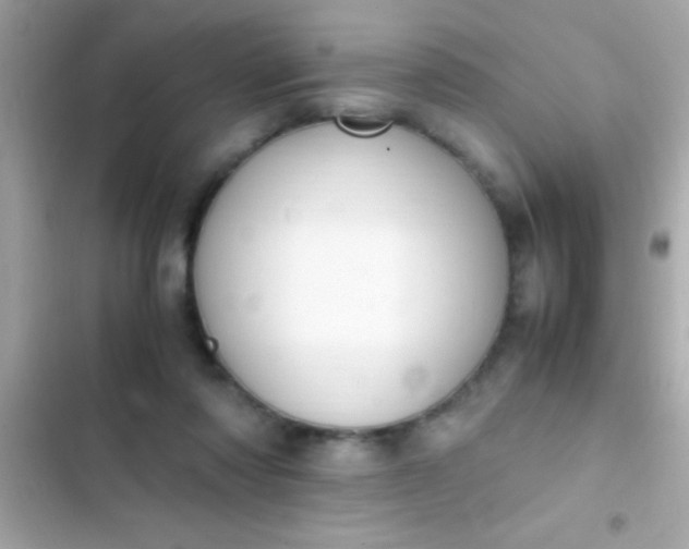 X0000103330310200809192211