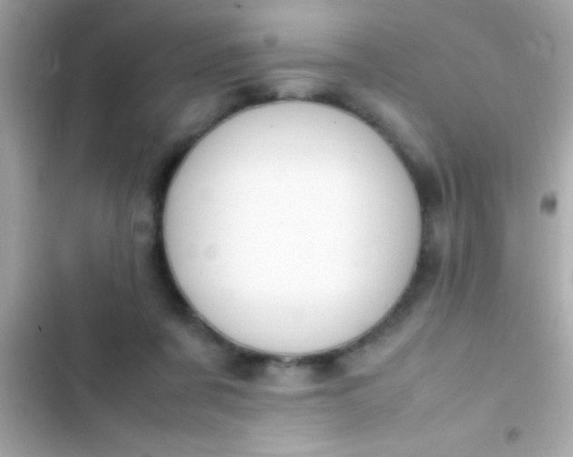 X0000103330311200809192211