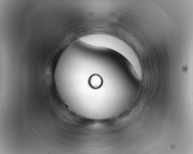 X0000103330312200809192211