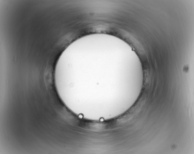 X0000103330313200809192211