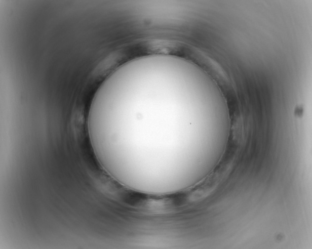 X0000103330314200809192211