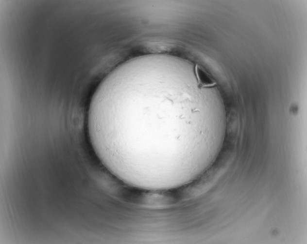 X0000103330315200809192211