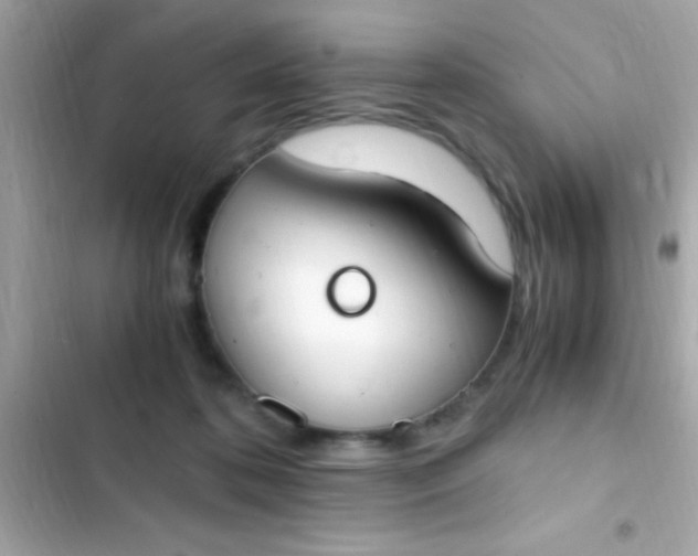 X0000103330316200809192211