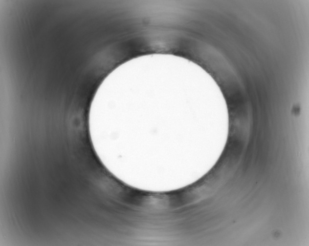 X0000103330317200809192211