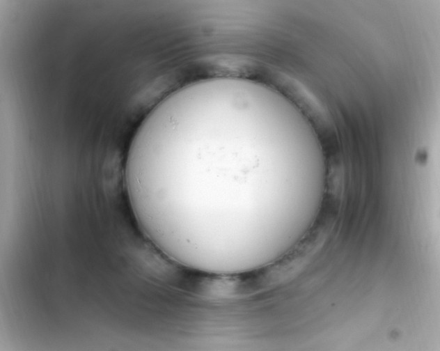 X0000103330318200809192211