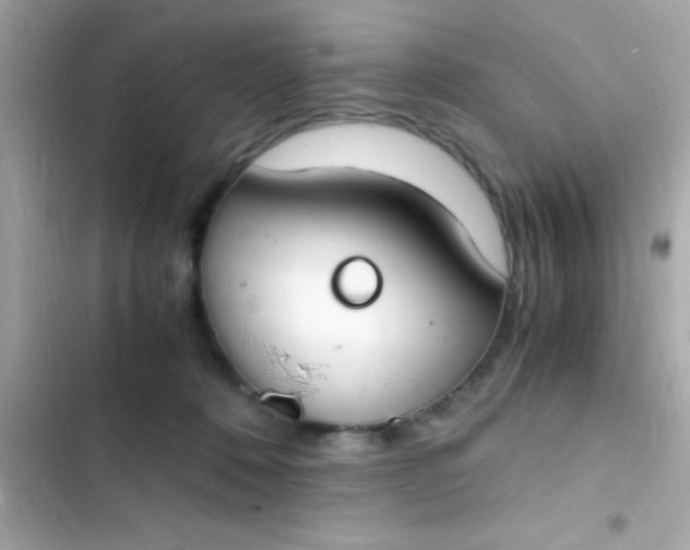 X0000103330320200809192211