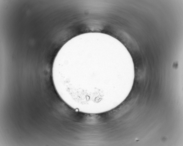 X0000103330321200809192211