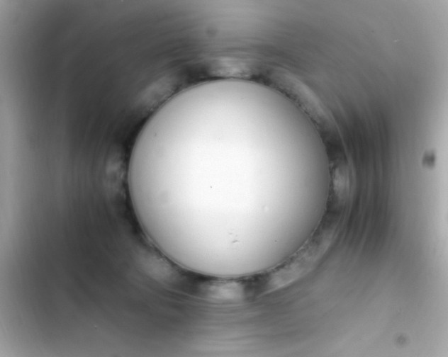 X0000103330322200809192211