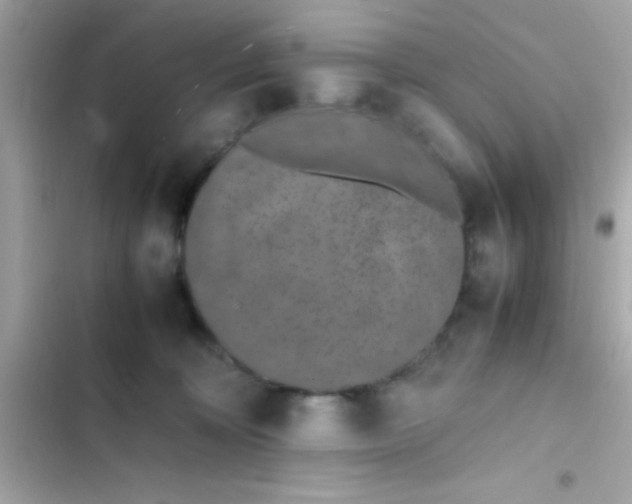 X0000103330324200809192210