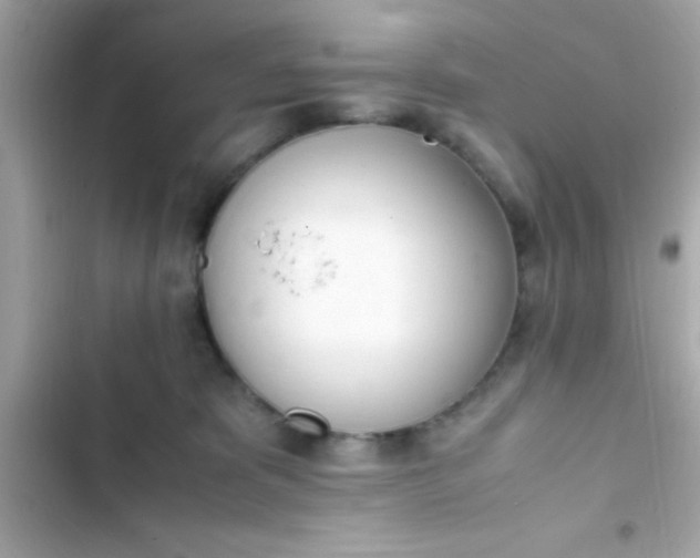 X0000103330325200809192210