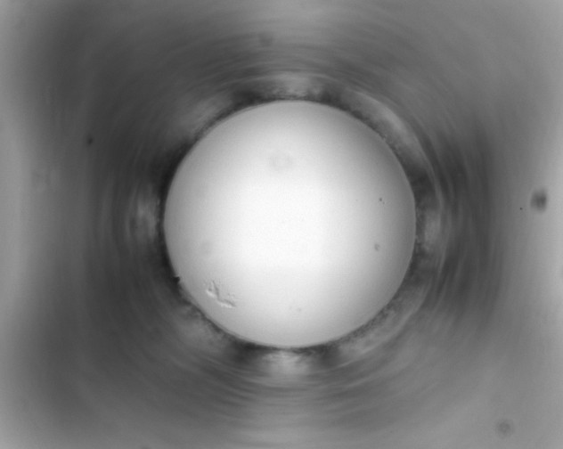 X0000103330326200809192210