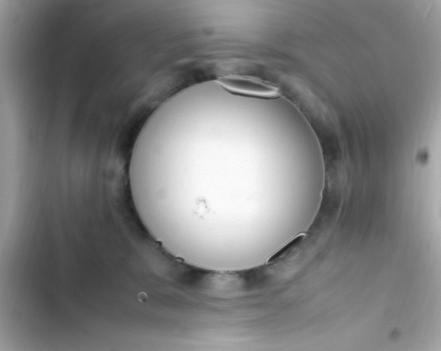 X0000103330327200809192210