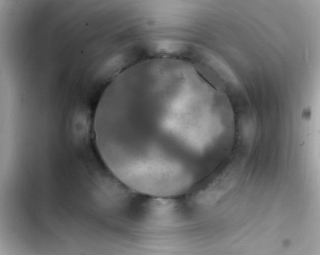 X0000103330328200809192210