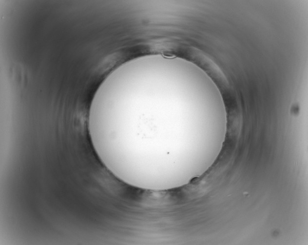 X0000103330329200809192210