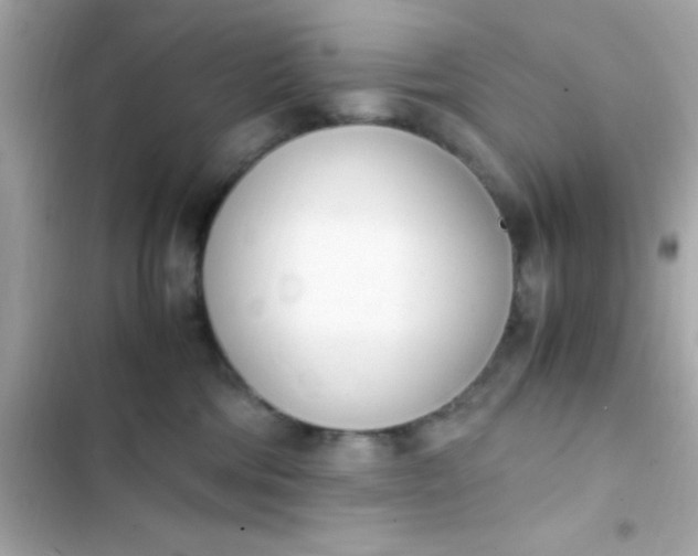 X0000103330330200809192210