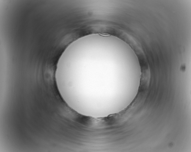 X0000103330333200809192210