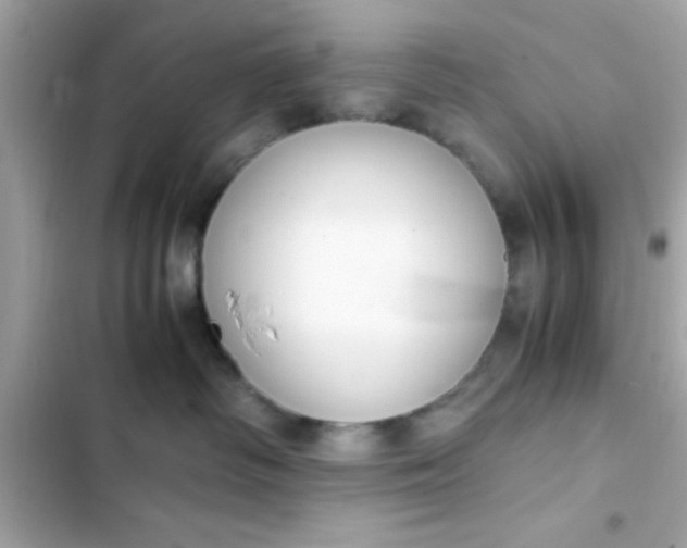 X0000103330334200809192210