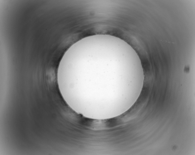 X0000103330335200809192210