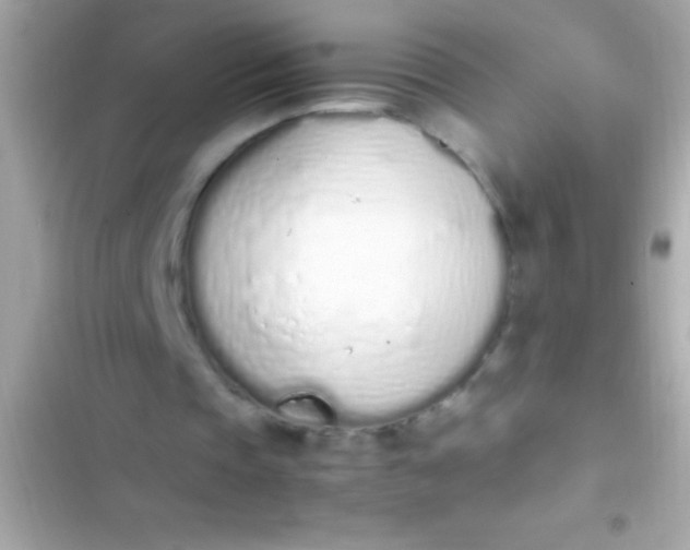 X0000103330337200809192210