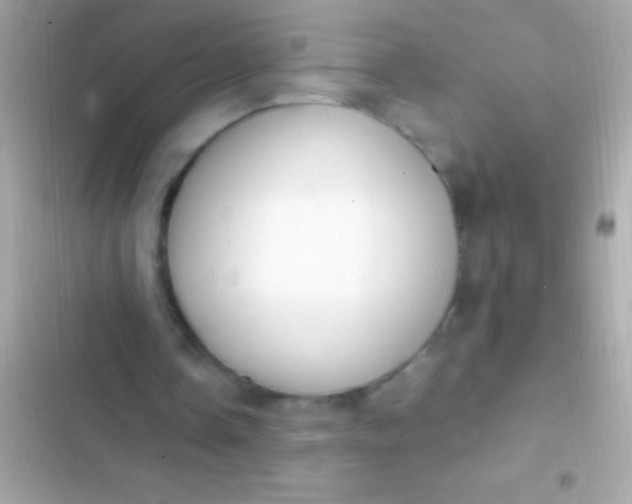 X0000103330338200809192210