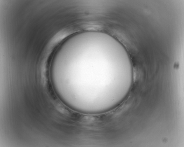 X0000103330339200809192210