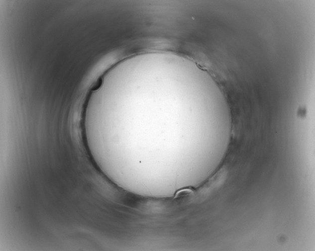 X0000103330341200809192210