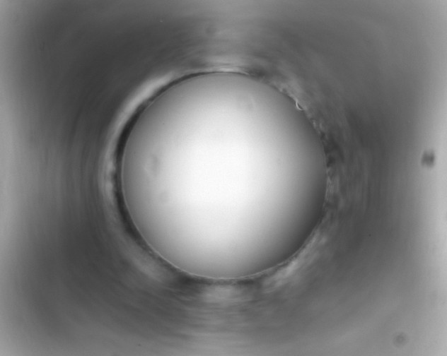 X0000103330342200809192210