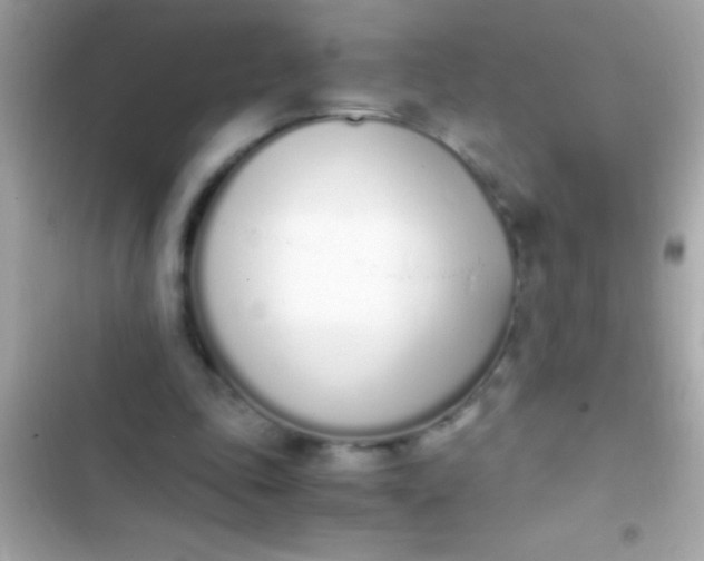 X0000103330343200809192210