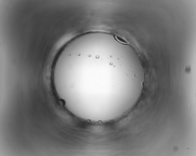 X0000103330344200809192210