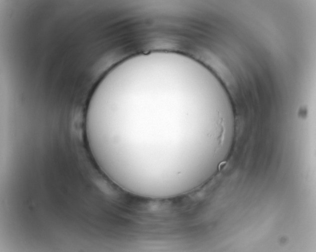 X0000103330345200809192210