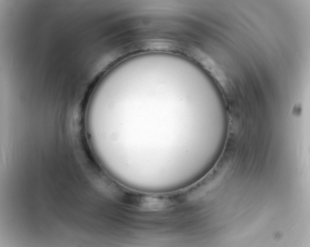 X0000103330347200809192210