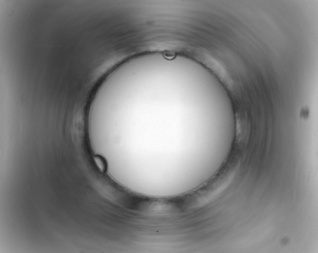 X0000103330348200809192210