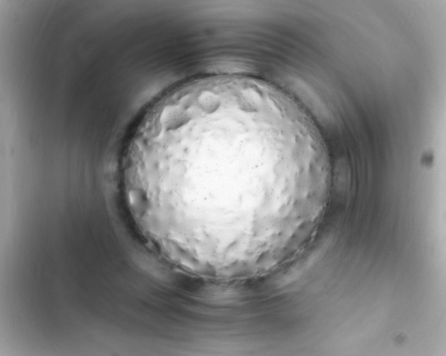 X0000103330351200809192210