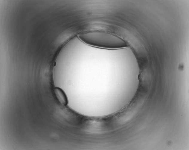 X0000103330352200809192210