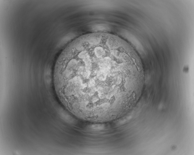 X0000103330353200809192210