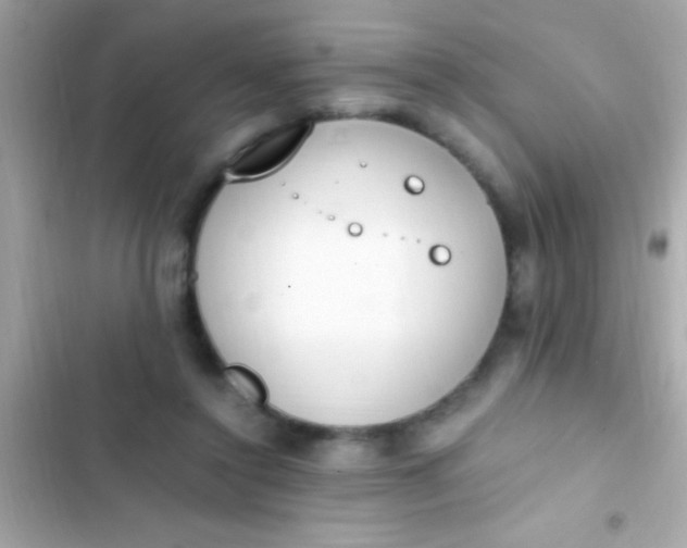 X0000103330356200809192210