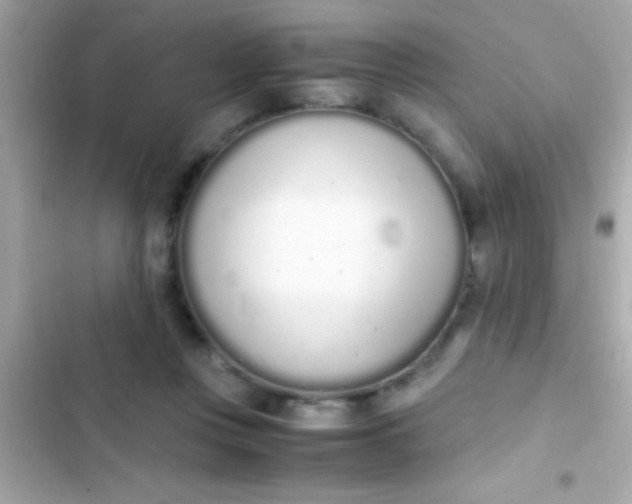 X0000103330359200809192210