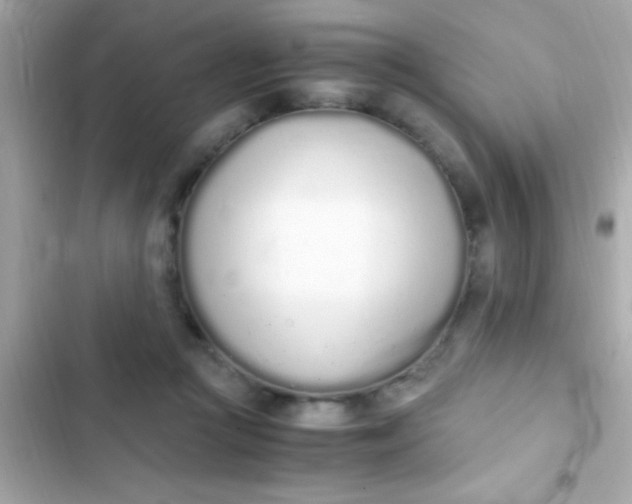 X0000103330361200809192210