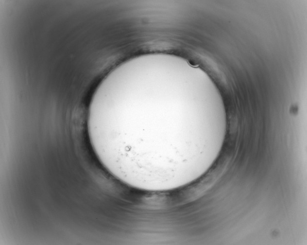 X0000103330362200809192210