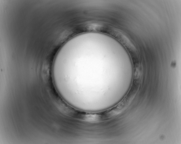 X0000103330363200809192210