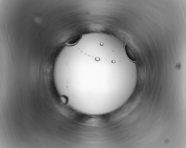 X0000103330364200809192210