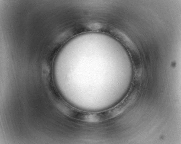 X0000103330365200809192210