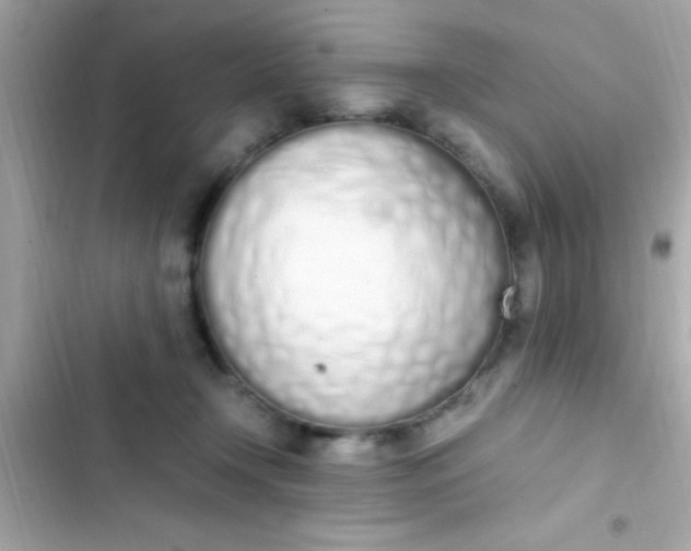 X0000103330366200809192210