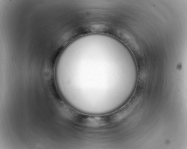 X0000103330367200809192210