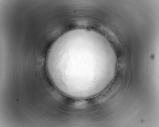 X0000103330369200809192210