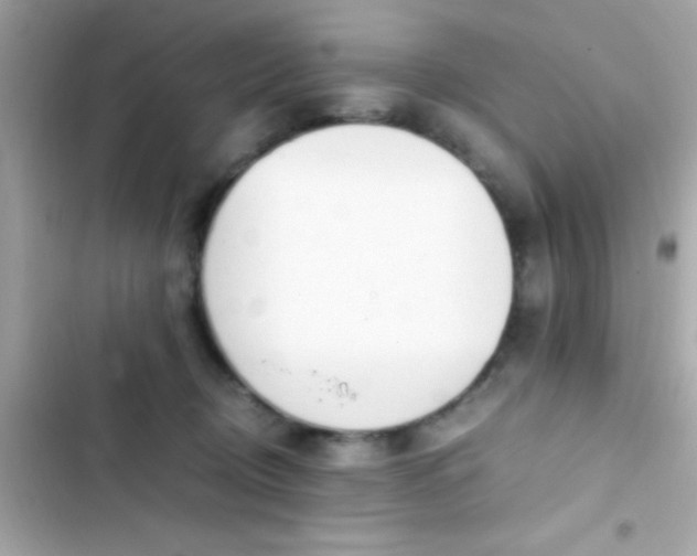 X0000103330370200809192210