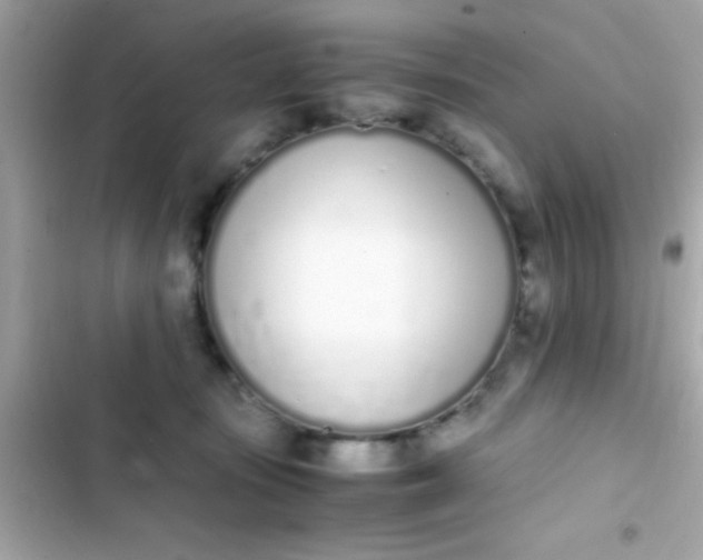 X0000103330371200809192210