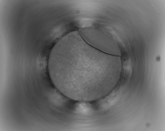 X0000103330372200809192210