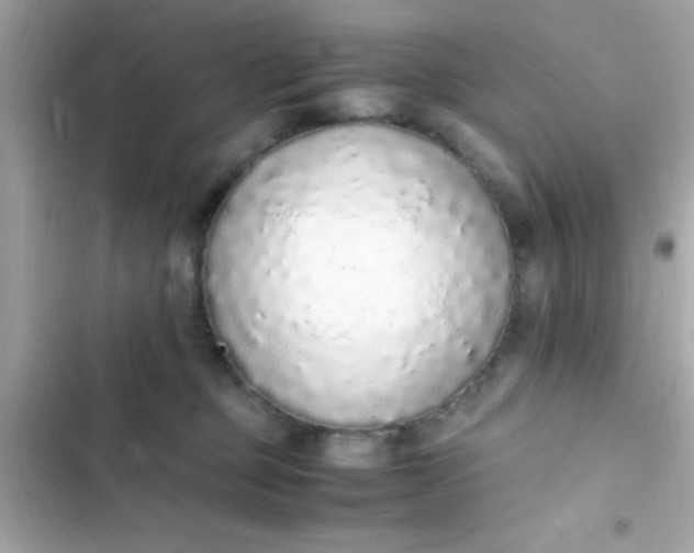 X0000103330373200809192210